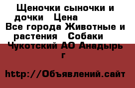 Щеночки-сыночки и дочки › Цена ­ 30 000 - Все города Животные и растения » Собаки   . Чукотский АО,Анадырь г.